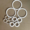 PTFE Gasket